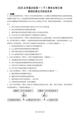 2025北京重点校高一（下）期末生物汇编：基因的表达与性状关系-答案
