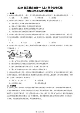 2024北京重点校高一（上）期中生物汇编：降低化学反应活化能的酶-答案