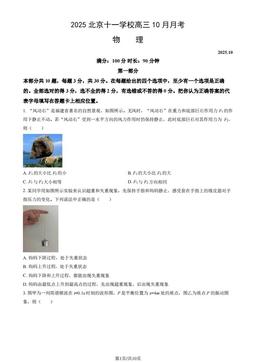 2025北京十一学校高三10月月考物理（教师版）-答案