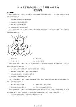 2025北京重点校高一（上）期末生物汇编：被动运输-答案
