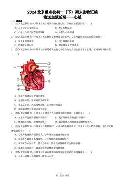 2024北京重点校初一（下）期末生物汇编：输送血液的泵──心脏-答案