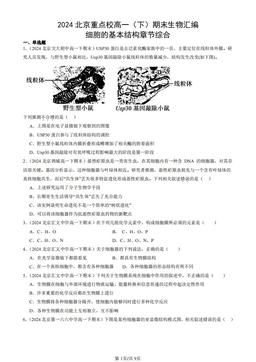 2024北京重点校高一（下）期末生物汇编：细胞的基本结构章节综合-答案