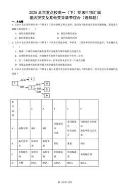 2025北京重点校高一（下）期末生物汇编：基因突变及其他变异章节综合（选择题）-答案