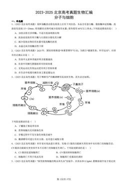 2023-2025北京高考真题生物汇编：分子与细胞-答案