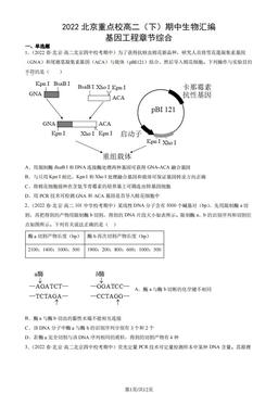 2022北京重点校高二（下）期中生物汇编：基因工程章节综合-答案