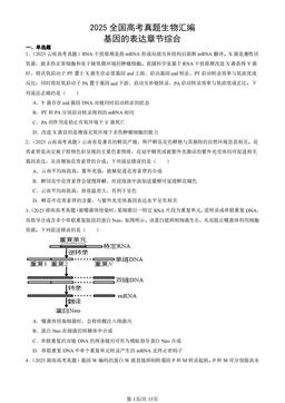2025全国高考真题生物汇编：基因的表达章节综合-答案