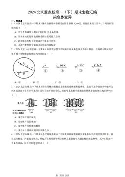 2024北京重点校高一（下）期末生物汇编：染色体变异-答案