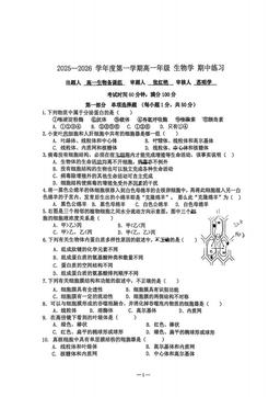 2025北京理工大附中高一（上）期中生物（教师版）-答案