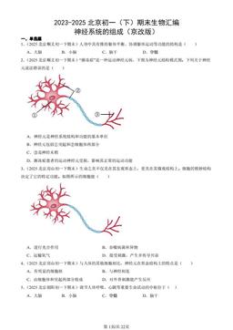 2023-2025北京初一（下）期末生物汇编：神经系统的组成（京改版）-答案