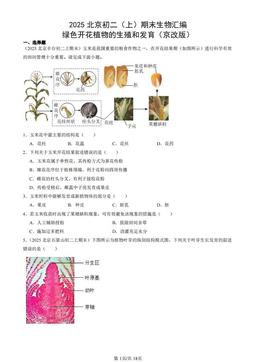 2025北京初二（上）期末生物汇编：绿色开花植物的生殖和发育（京改版）-答案