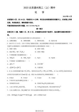 2023北京通州高二（上）期中化学（教师版）-答案