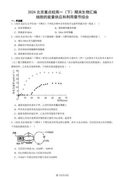2024北京重点校高一（下）期末生物汇编：细胞的能量供应和利用章节综合-答案