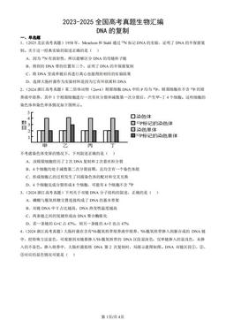 2023-2025全国高考真题生物汇编：DNA的复制-答案