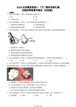 2024北京重点校初一（下）期末生物汇编：生物的呼吸章节综合（京改版）-答案