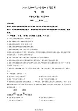2024北京一六六中高一3月月考生物（教师版）-答案