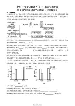 2023北京重点校高二（上）期中生物汇编：体液调节与神经调节的关系（非选择题）-答案