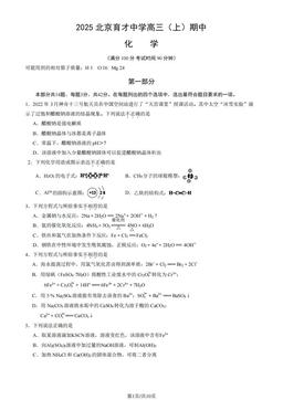 2025北京育才中学高三（上）期中化学（教师版）-答案