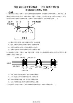 2022-2024北京重点校高一（下）期末生物汇编：主动运输与胞吞、胞吐-答案