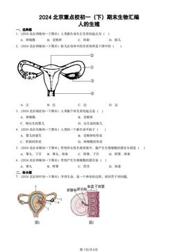2024北京重点校初一（下）期末生物汇编：人的生殖-答案