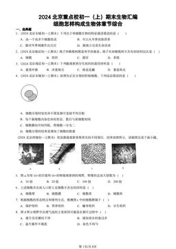 2024北京重点校初一（上）期末生物汇编：细胞怎样构成生物体章节综合-答案