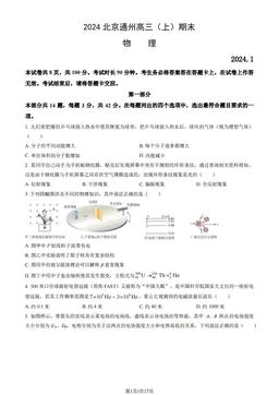2024北京通州高三（上）期末物理（教师版）-答案