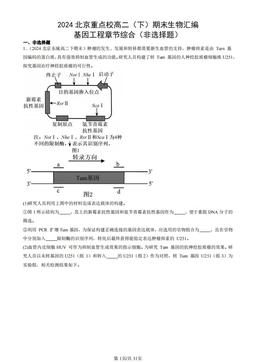 2024北京重点校高二（下）期末生物汇编：基因工程章节综合（非选择题）-答案