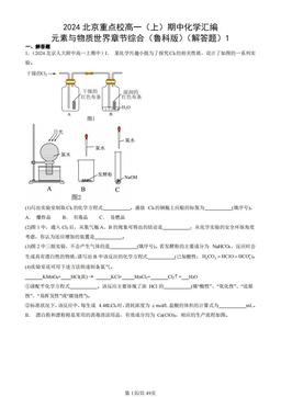 2024北京重点校高一（上）期中化学汇编：元素与物质世界章节综合（鲁科版）（解答题）1-答案