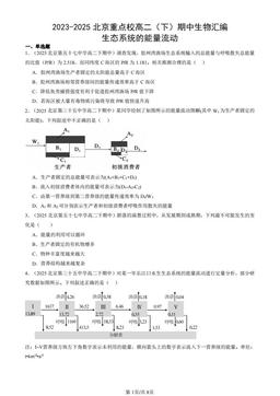 2023-2025北京重点校高二（下）期中生物汇编：生态系统的能量流动-答案