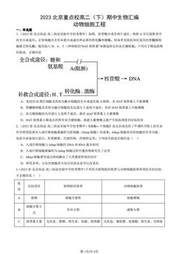 2023北京重点校高二（下）期中生物汇编：动物细胞工程-答案