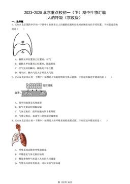 2023-2025北京重点校初一（下）期中生物汇编：人的呼吸（京改版）-答案
