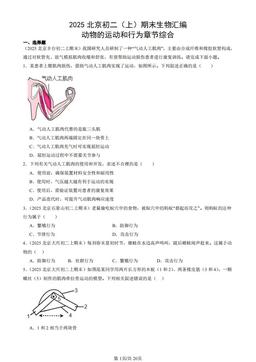 2025北京初二（上）期末生物汇编：动物的运动和行为章节综合-答案