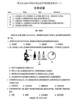 2024北京顺义初二一模生物-试题