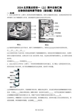 2024北京重点校初一（上）期中生物汇编：生物体的结构章节综合（综合题）京改版-答案