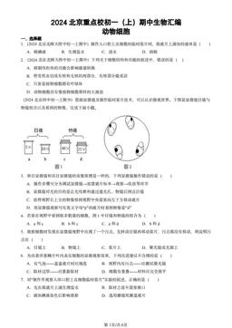 2024北京重点校初一（上）期中生物汇编：动物细胞-答案