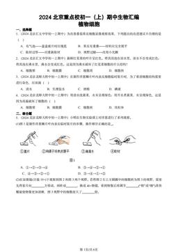 2024北京重点校初一（上）期中生物汇编：植物细胞-答案