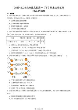 2023-2025北京重点校高一（下）期末生物汇编：DNA的结构-答案