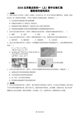 2024北京重点校初一（上）期中生物汇编：植物体的结构层次-答案