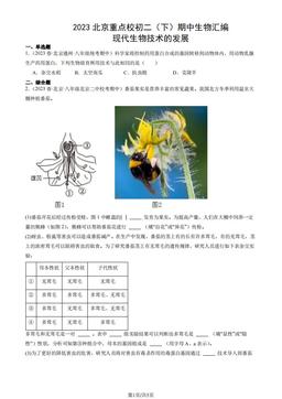 2023北京重点校初二（下）期中生物汇编：现代生物技术的发展-答案