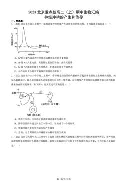 2023北京重点校高二（上）期中生物汇编：神经冲动的产生和传导-答案