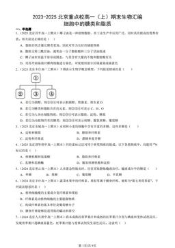 2023-2025北京重点校高一（上）期末生物汇编：细胞中的糖类和脂质-答案