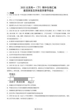2022北京高一（下）期中生物汇编：基因突变及其他变异章节综合-答案