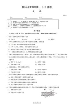2024北京海淀高一（上）期末生物（教师版）-答案