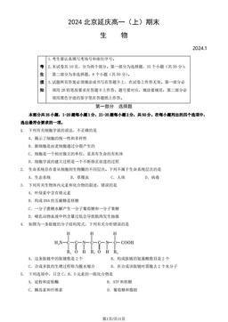 2024北京延庆高一（上）期末生物（教师版）-答案