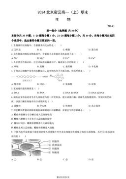 2024北京密云高一（上）期末生物（教师版）-答案