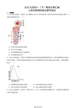 2023北京初一（下）期末生物汇编：人体内废物的排出章节综合-答案