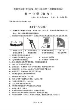 2025北京首都师大附中高一（下）期末化学（教师版）-答案