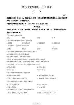 2025北京东城高一（上）期末化学（教师版）-答案