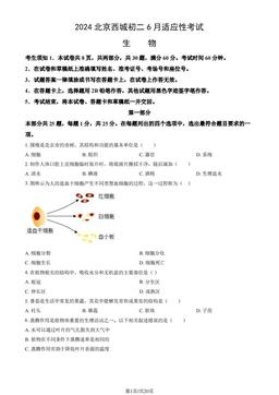 2024北京西城初二6月适应性考试生物（教师版）-答案