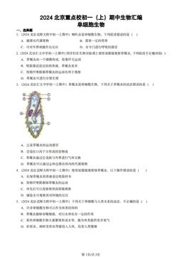 2024北京重点校初一（上）期中生物汇编：单细胞生物-答案