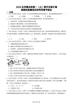 2024北京重点校高一（上）期中生物汇编：细胞的能量供应和利用章节综合-答案